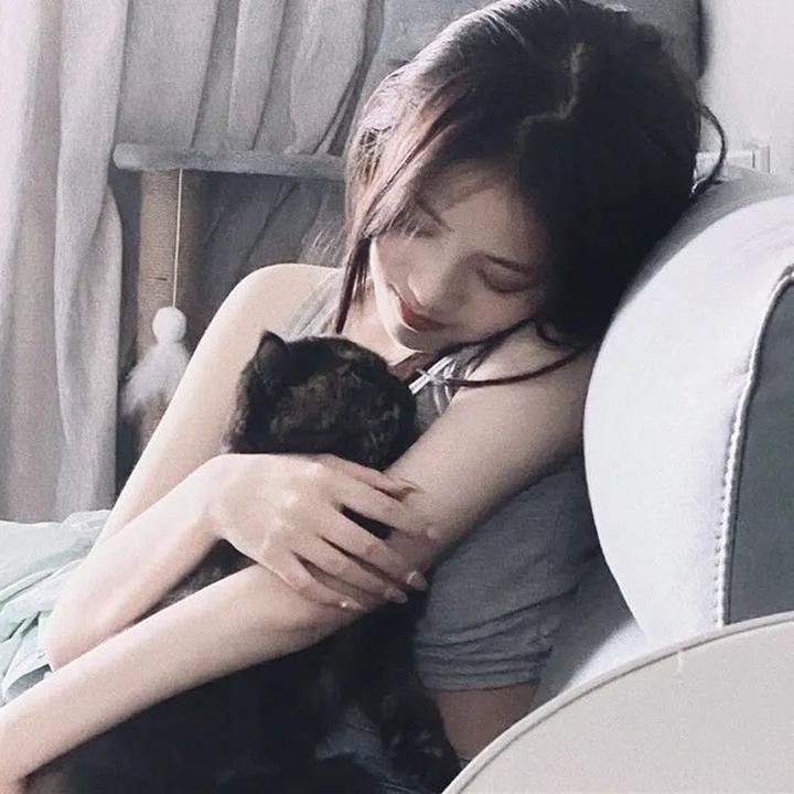 2036来历不明